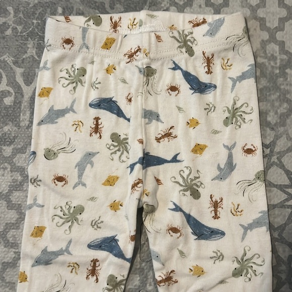 Chickpea Pajamas 4 Piece Set Sea Life 24m - Picture 6 of 8